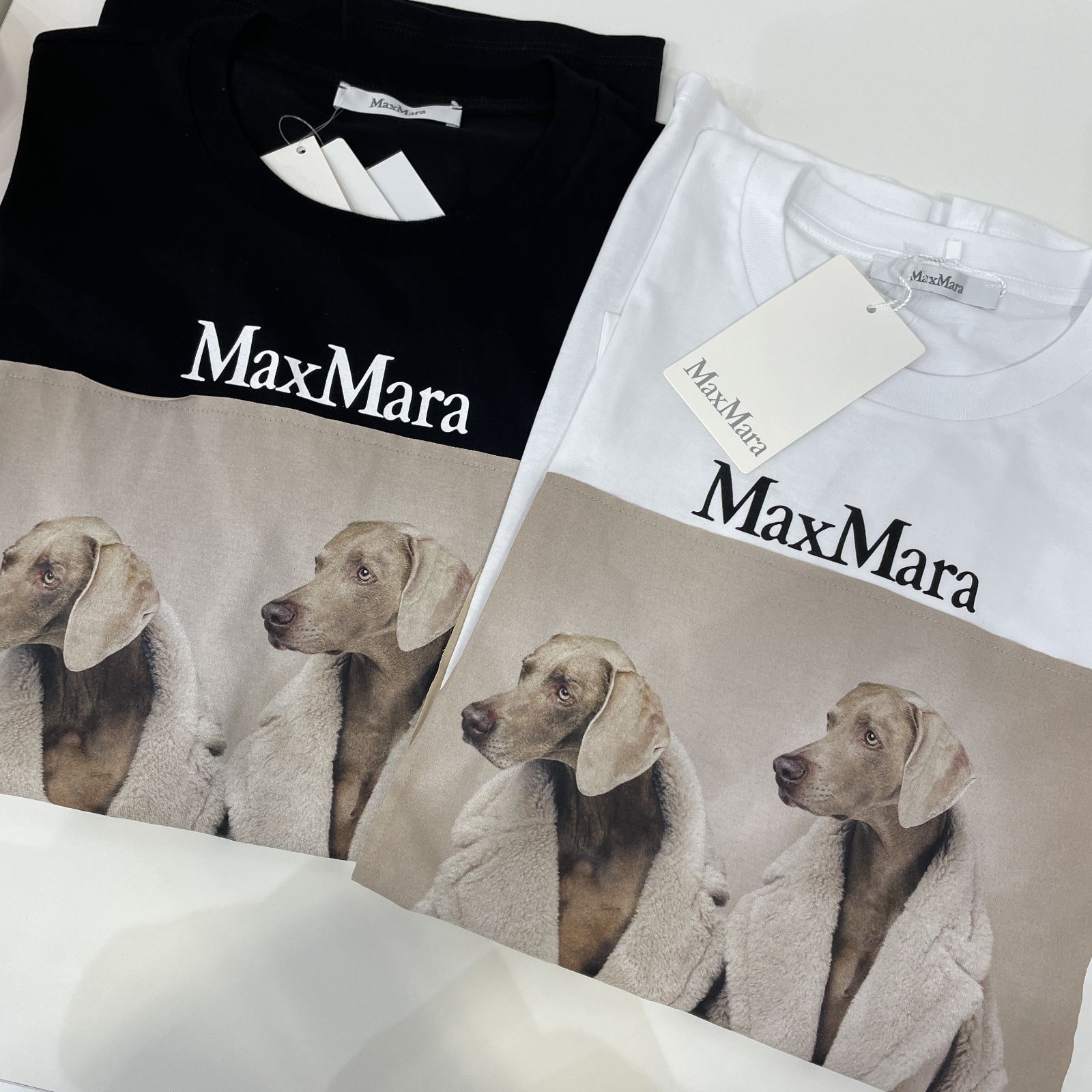ご検討よろしくお願い致します新品未使用 Max Mara マックスマーラ Tacco Tシャツ
