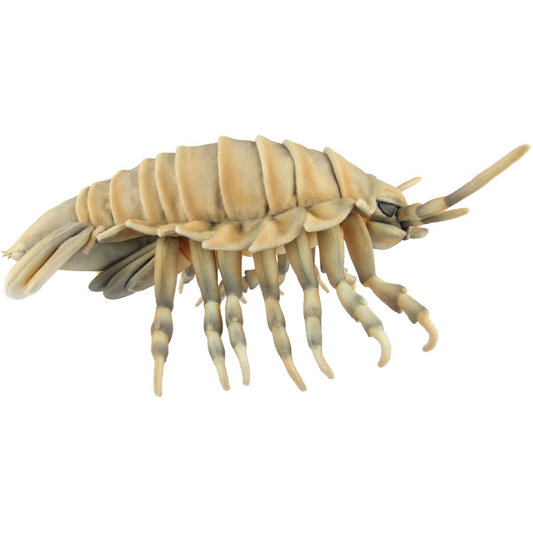 バンドリ RAISE A SUIKEN 大川ぶくぶ バッジ セット ラブライブ