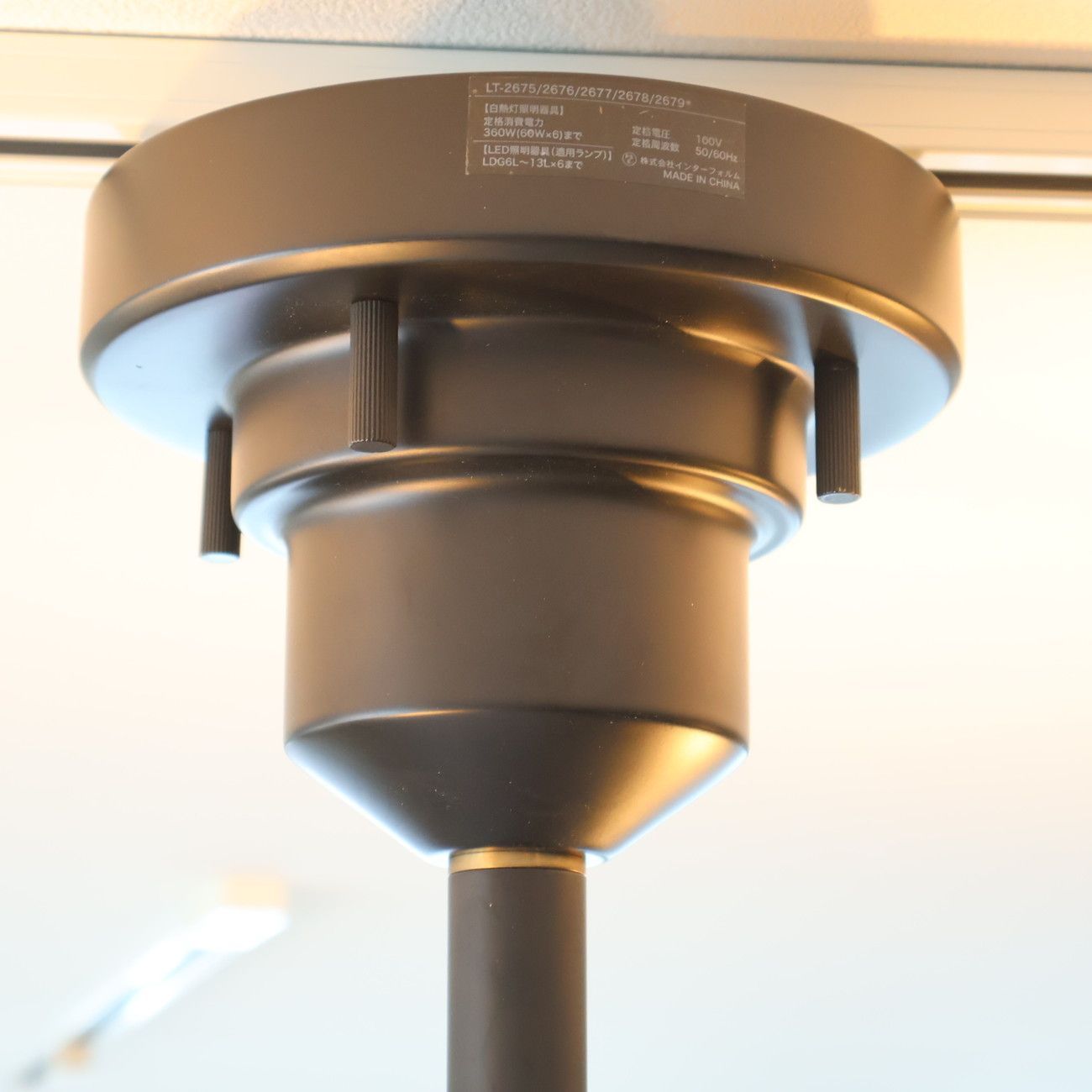 天井照明 インダストリアル