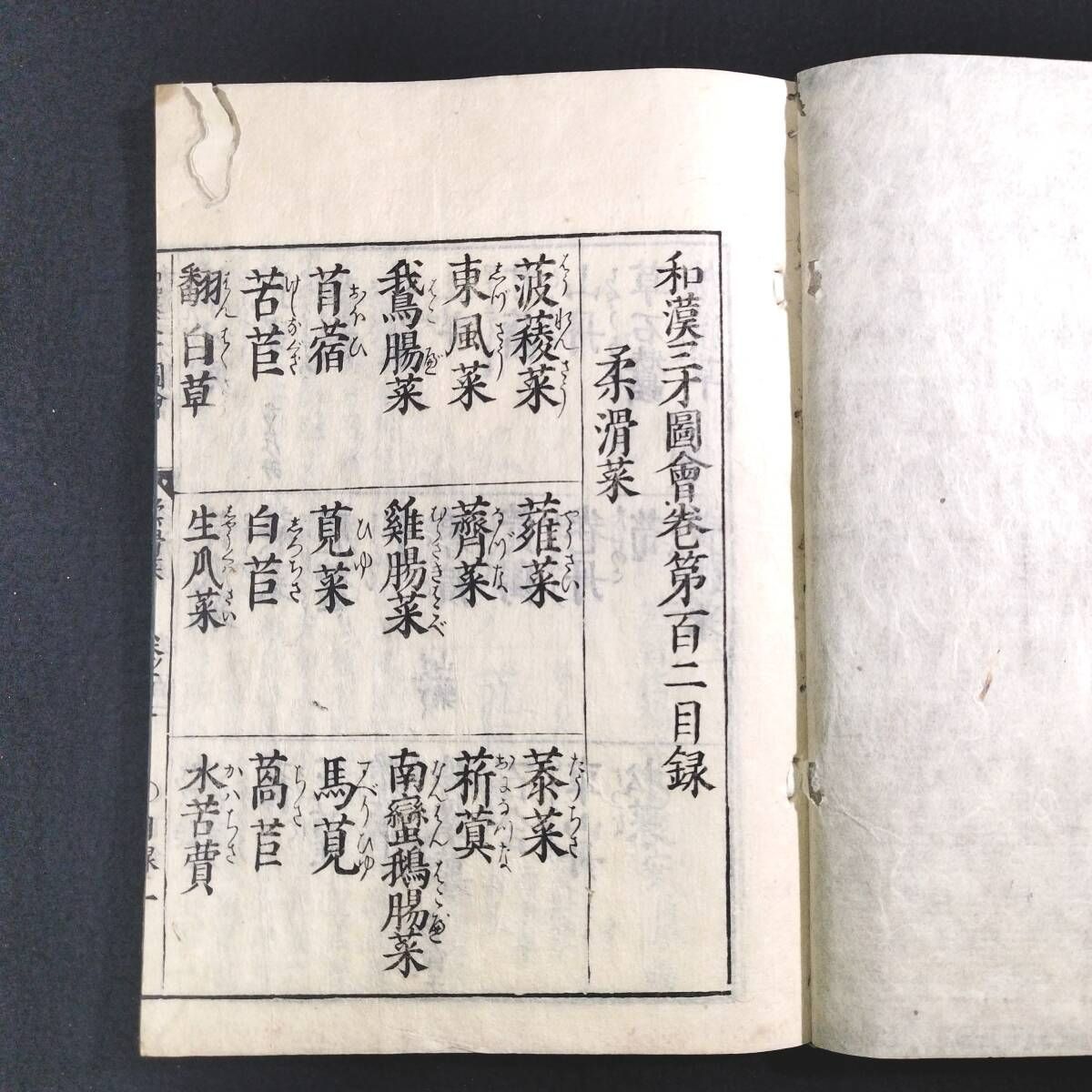 絵入◇和漢三才図会◇102 柔滑菜 草花 図鑑 風俗 百科事典 漢籍