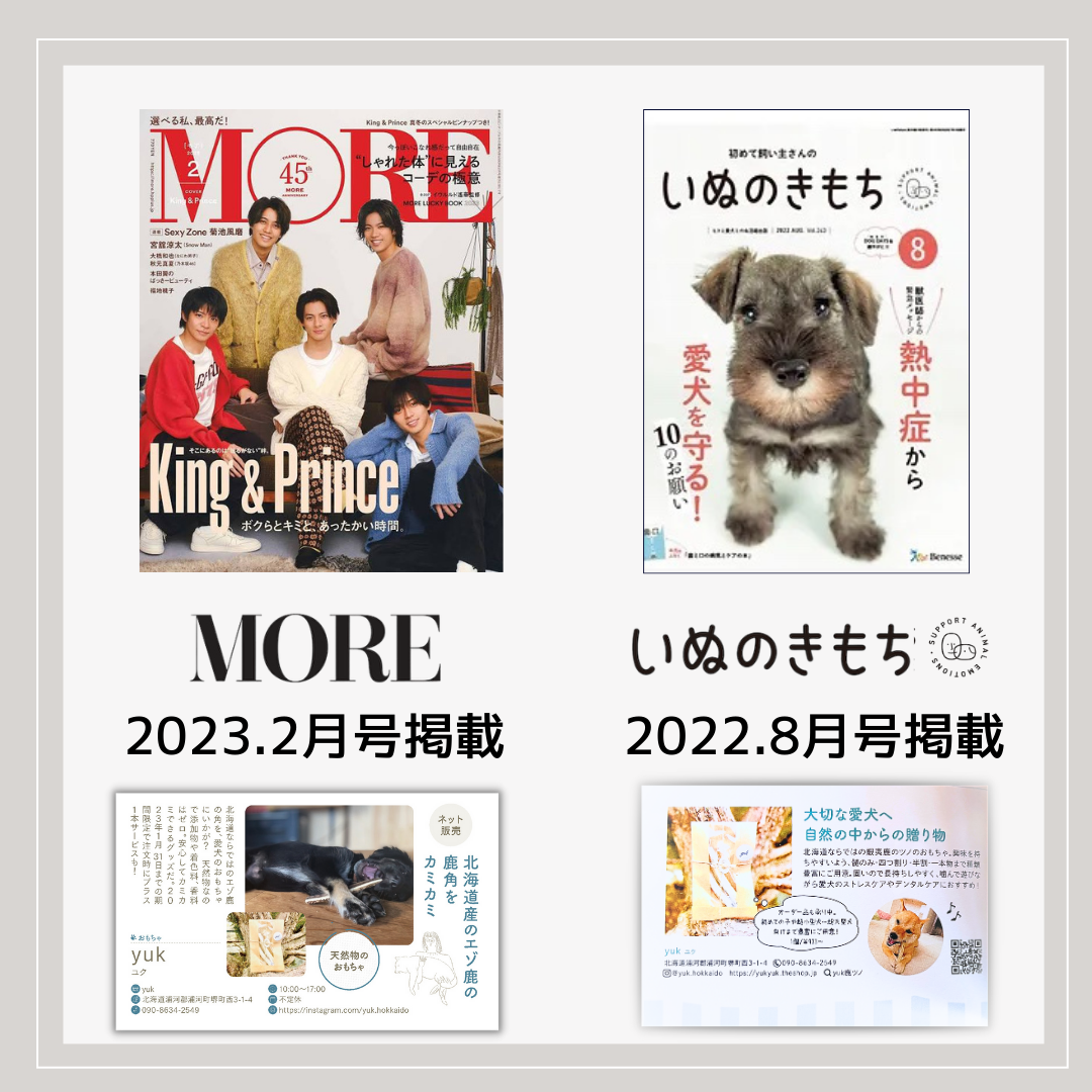 【クーポン発行中】🐶超小型犬用🐶半割り✅2本セット🦌北海道産エゾ鹿の角🦌犬のおもちゃ🐕鹿の骨　A