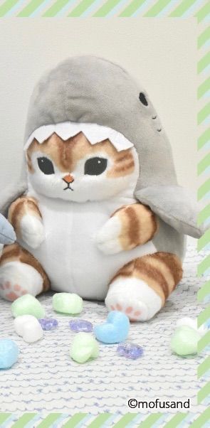 サメにゃんBIGぬいぐるみ２ 大人気『mofusand』サメにゃんから第2弾が登場♪｜トピックス