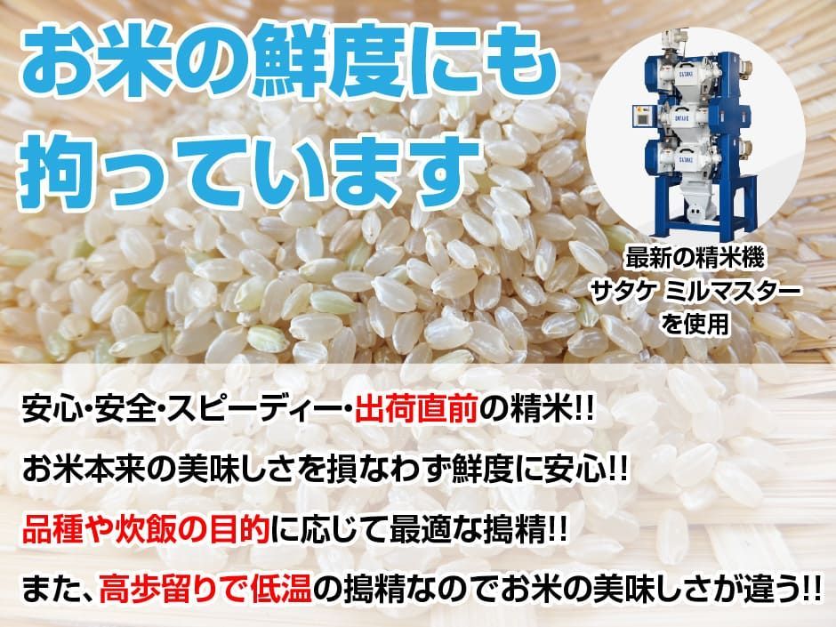 令和6年産新米入り 30kg