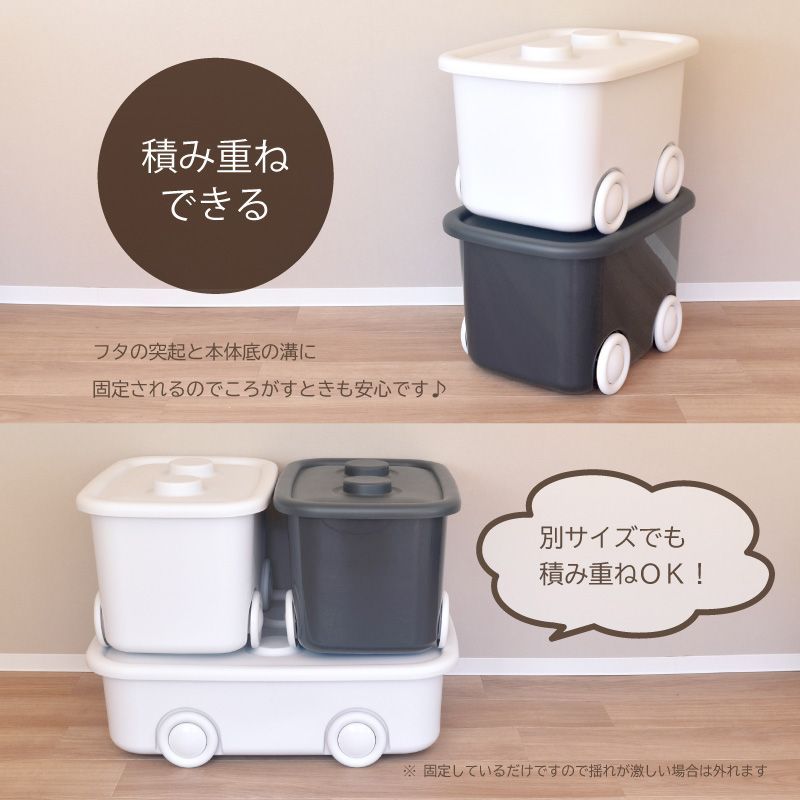 2個セット リブウェル(Livewell) 収納ボックス プラスチック製 衣装 