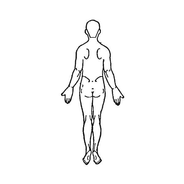 ティティメディカル 医学ゴム印 全身 後大判 1個