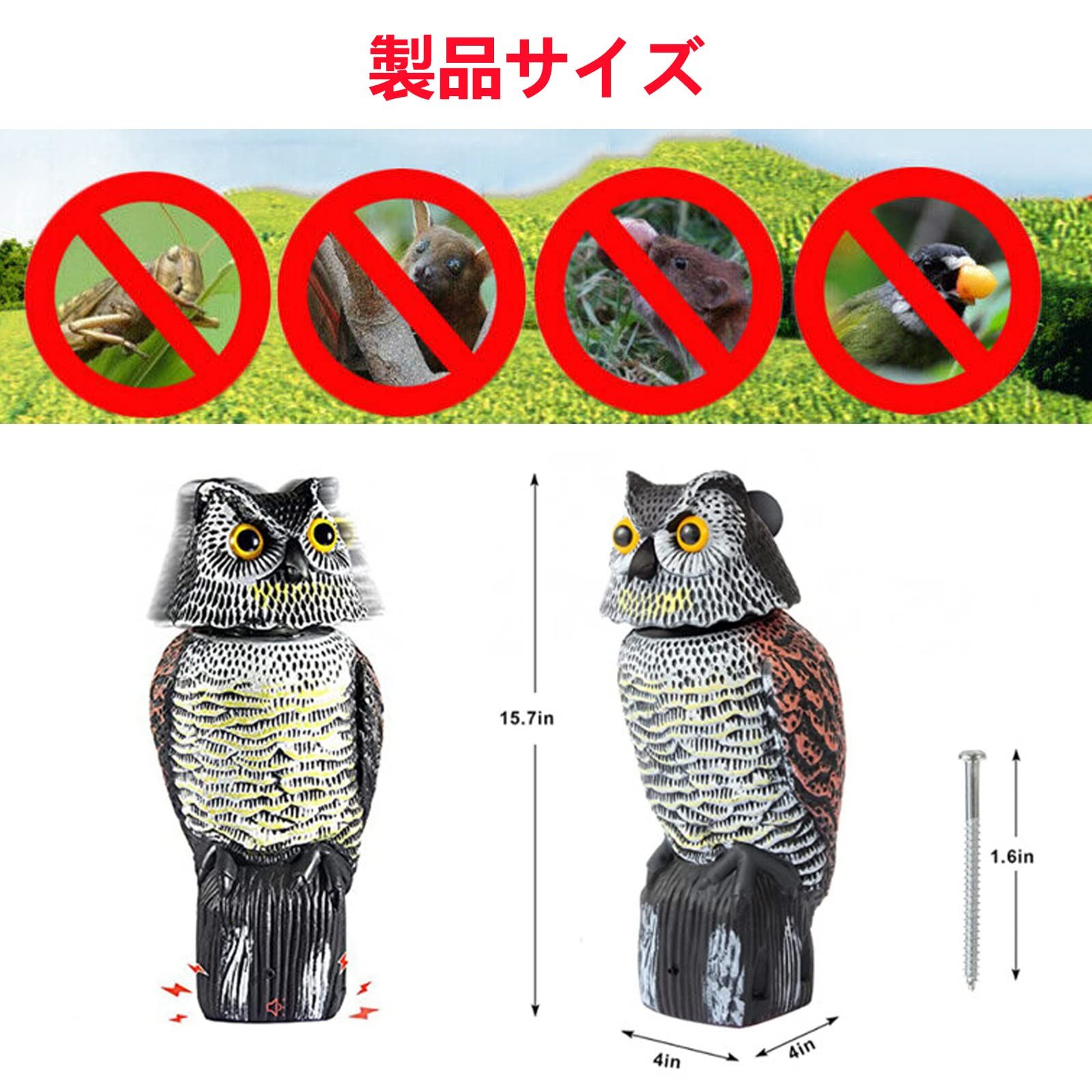 ふくろう