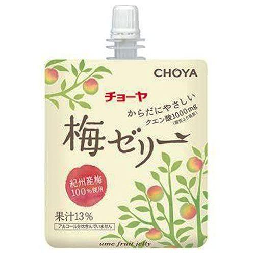 KE-NON 脱毛器 ver. 8.0 ジャンク エムテック ke-non ケノン NIPL-2080