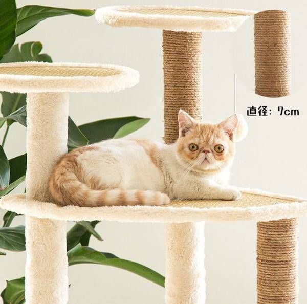 据え置き かわいい