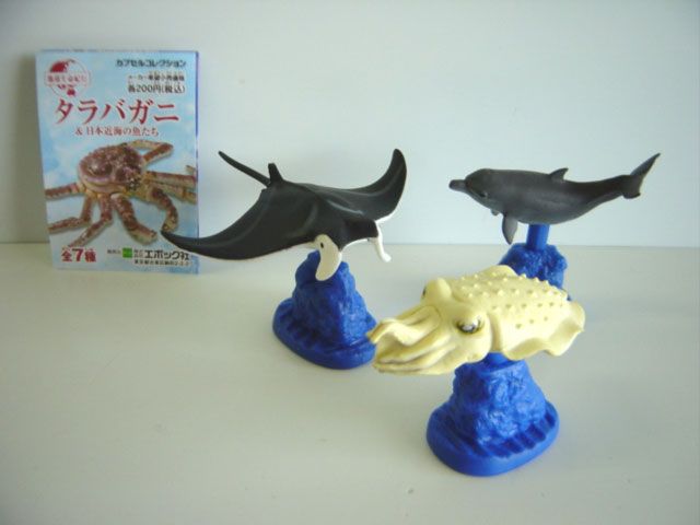 ♯Hui28GO地球生命紀行タラバガニ&日本近海の魚たち人気3種