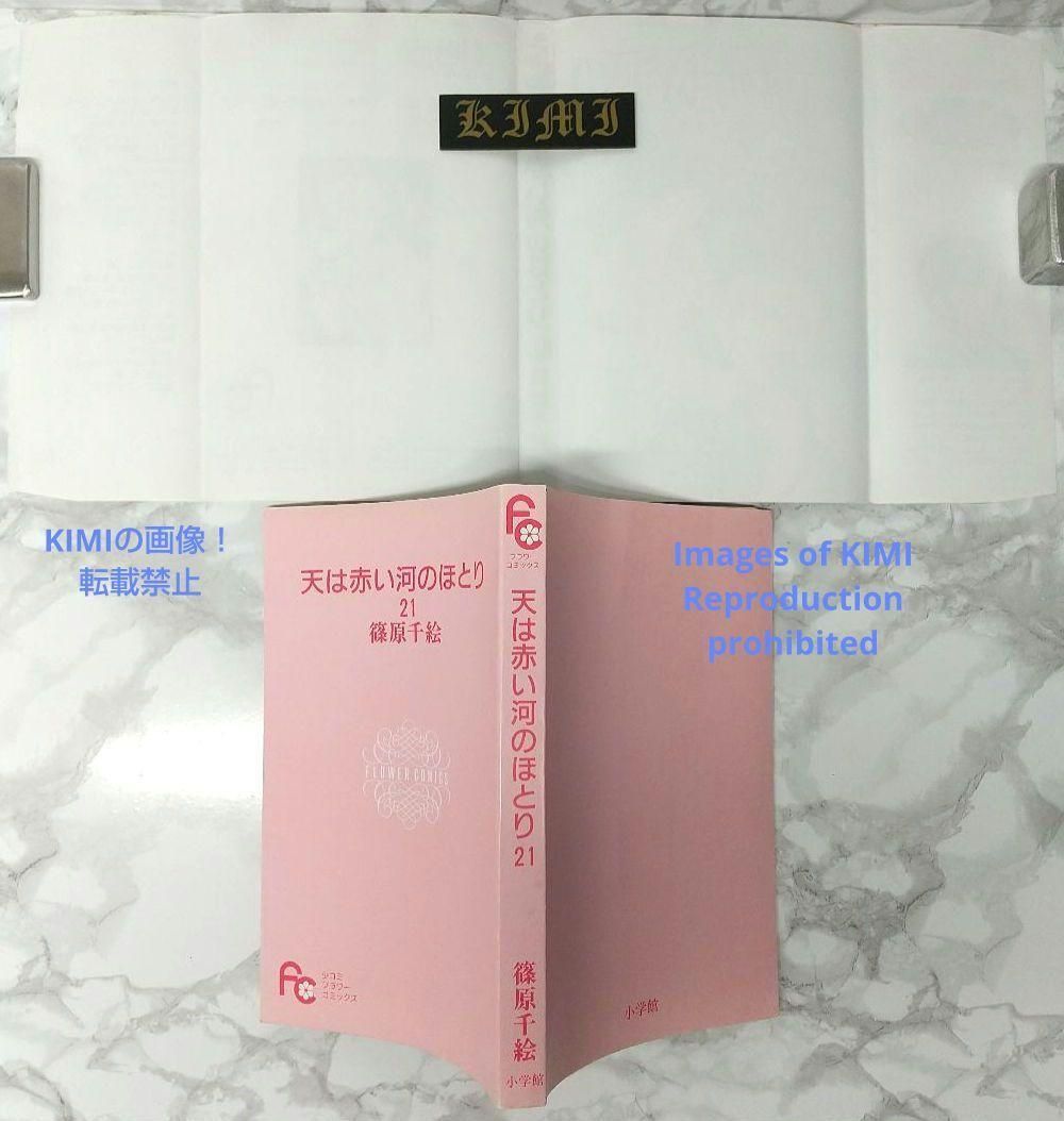 希少 初版 第1刷発行 天は赤い河のほとり 21 コミック 漫画 本