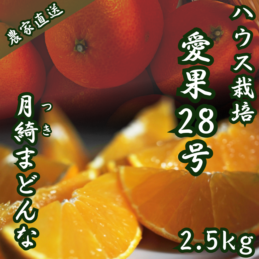 【愛果28号】約2.5kgサイズ混合  紅まどんな同品種あいか   柑橘 みかん 果物 くだもの フルーツ おすすめ 高級 人気 お取り寄せ グルメ ギフト 期間限定 数量限定 ご当地 愛媛県 松山市　農家直送　訳あり　ご家庭用送料無料　農家のおすそわけ