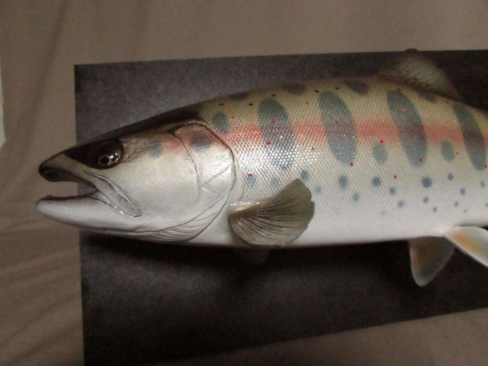 ハンドメイド39cmアマゴ魚模型フィギュアレプリカ置物オブジェ釣り