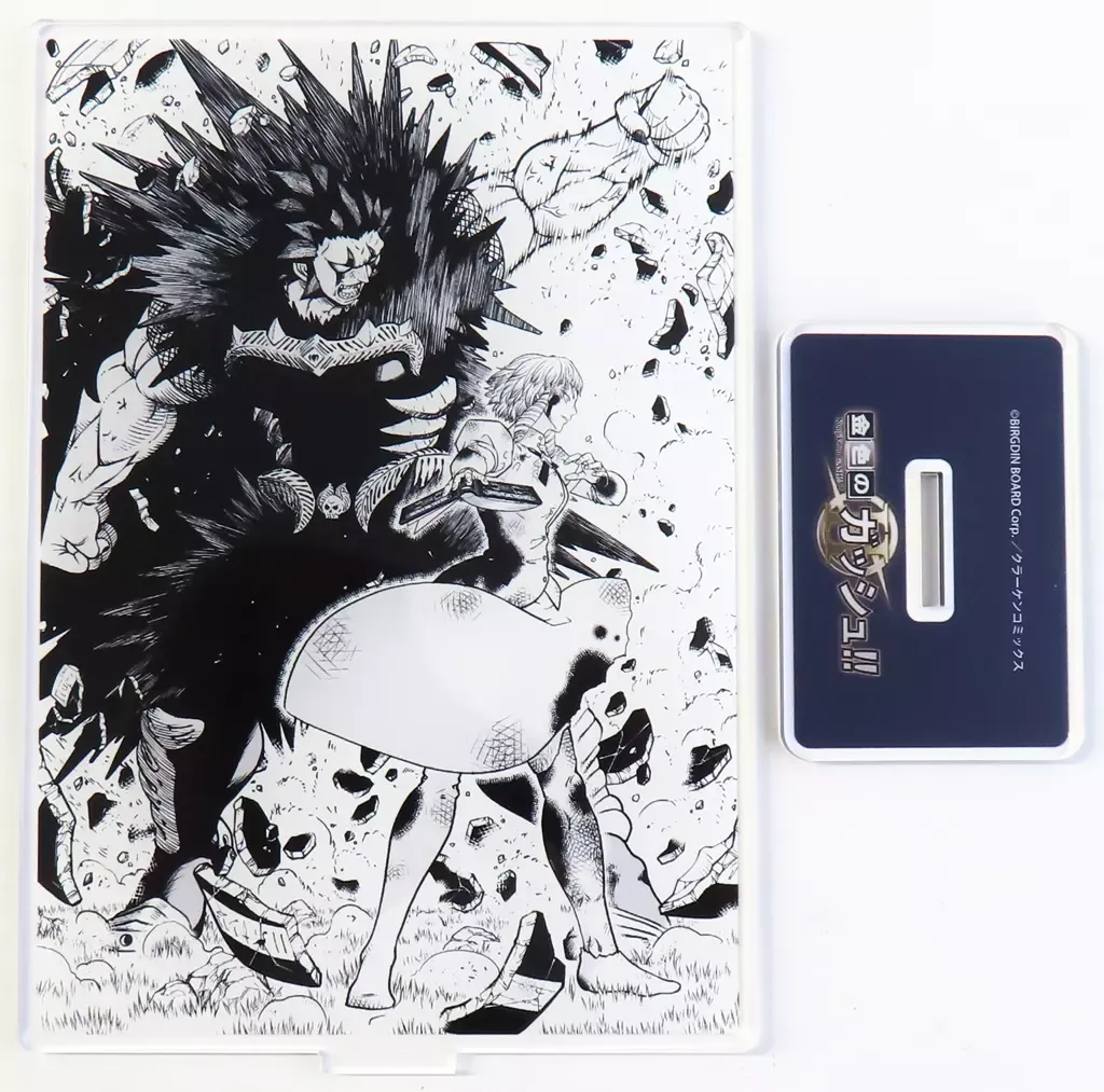 2025年最新】金色のガッシュ limited editionの人気アイテム - メルカリ