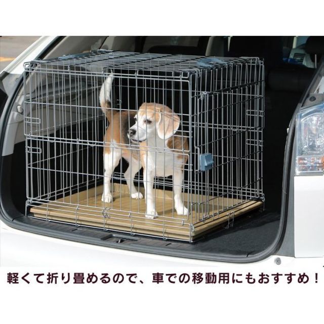 公式 犬