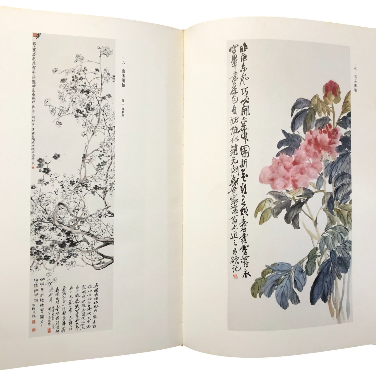 呉昌碩作品集 絵画・書法篆刻 2冊セット 呉昌碩作品集 絵画・書法篆刻 2冊セット - メルカリ