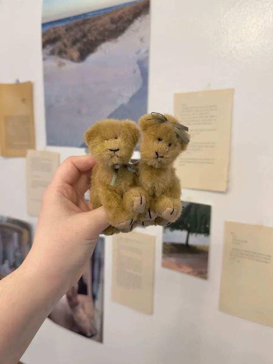 ボーイズベア 小さい ラクダ セット ラクダ ボーイズベア 小さい