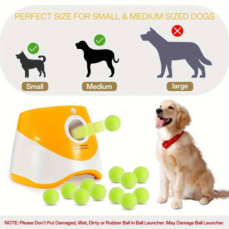 久保田耕一 白萩筒茶盌 湯呑久保田耕一 白萩筒茶盌 湯呑