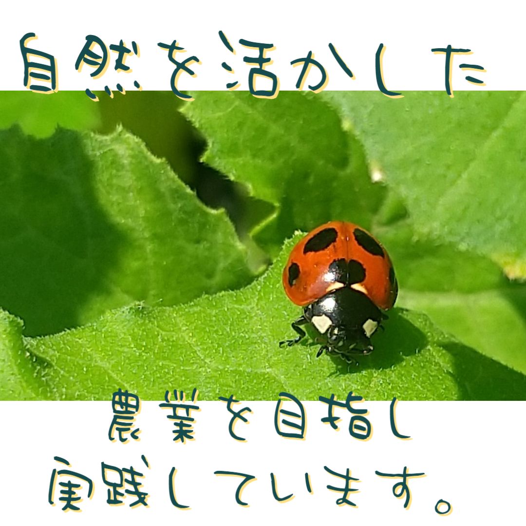 農薬 化学肥料