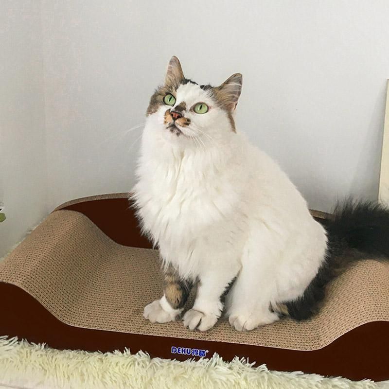 猫ベッド