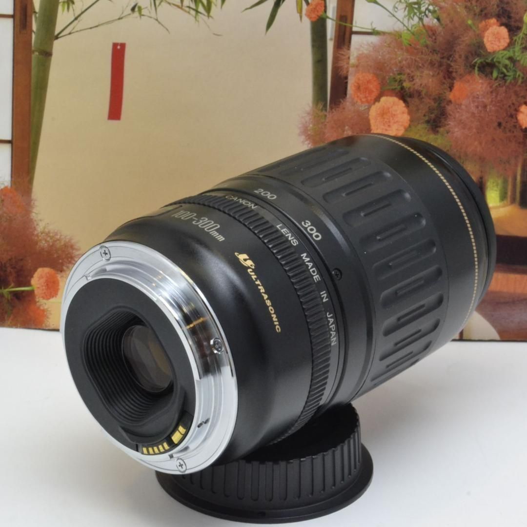 独特な店 Canon 100-300mm キヤノン キヤノン Canon 望遠レンズ レンズ ...