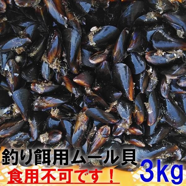 【平日15時まで即日発送可能】釣り餌に ムール貝　「ムラサキイガイ３ｋｇ」小分け袋入り冷凍品 ３キロ イガイ 船釣り 磯釣り コブダイ釣り チヌ釣り クロダイ釣り フィッシング