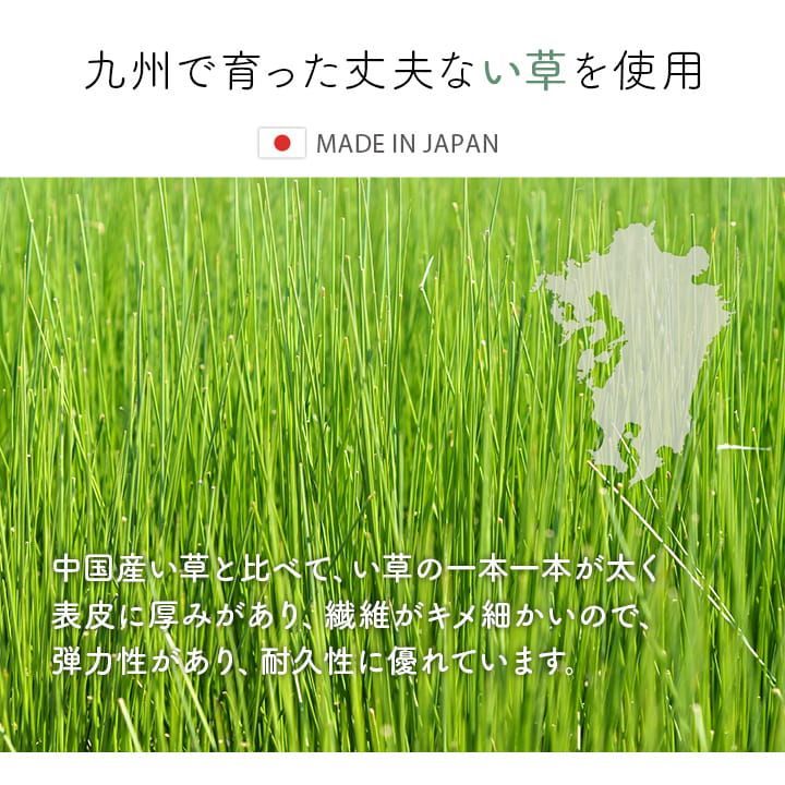 玄関マット ピオス