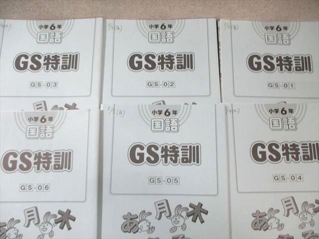 SAPIX 小6 サピックス 国語 GS特訓 【計6回分】 2020 024S2D SAPIX 小6 サピックス GS特訓 国語 【計6回分】 2024 020m2D