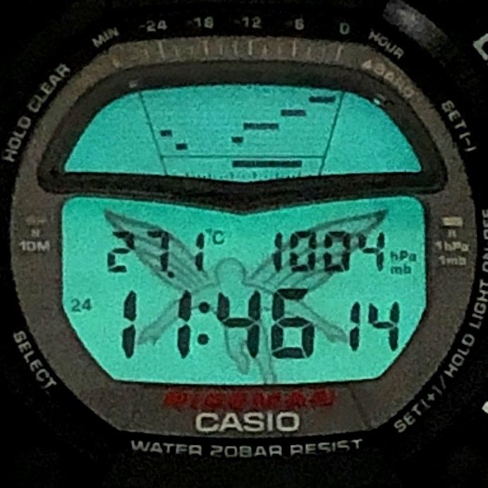 CASIO DW-9100ZJ-1T ライズマン DW-9100ZJ-1T