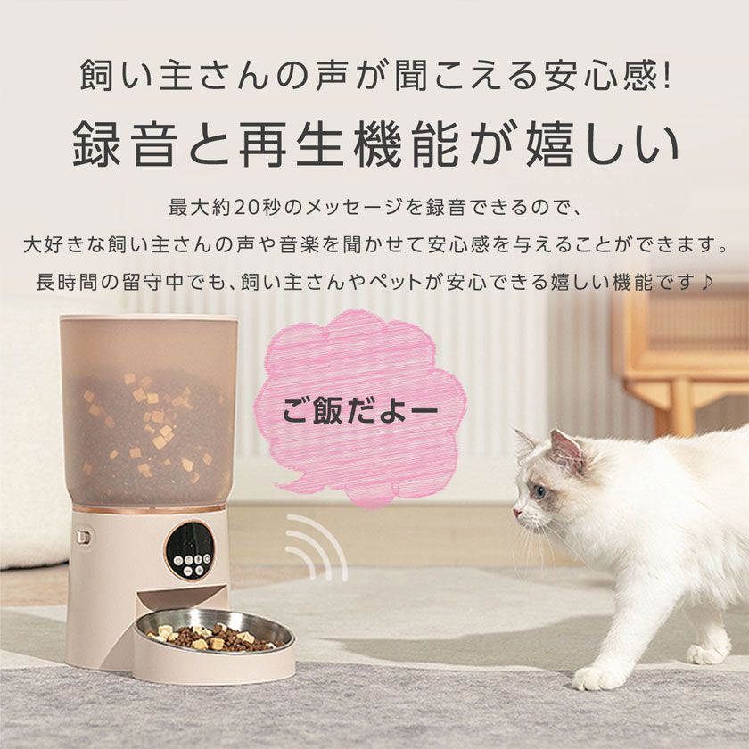 餌やり