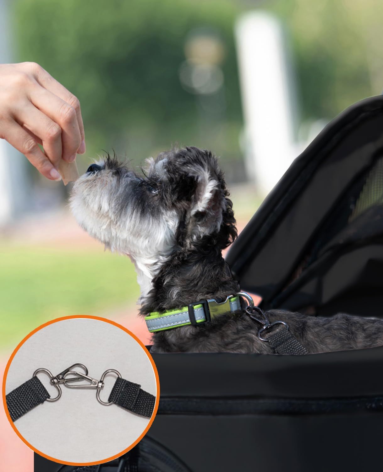 交換用クッション付き