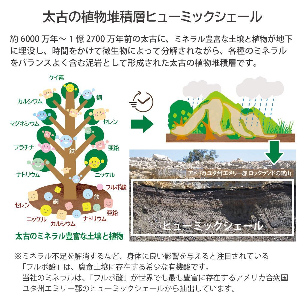 ヒューミックシェール植物ミネラル(フルボ酸)1000ml - 健康食品