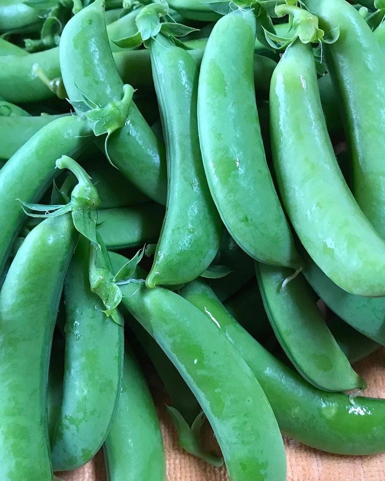 栽培期間中農薬不使用 スナップエンドウ500g - 野菜