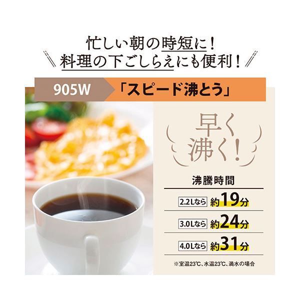 VE電気まほうびん 3.0L