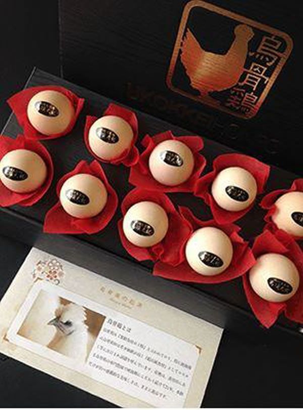 生卵10個】烏骨鶏本舗 純種 烏骨鶏卵（冷蔵） 化粧箱10個入