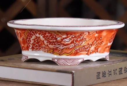 龍盆 海棠盆 盆栽鉢 植木鉢 小品盆栽鉢 大品盆栽鉢