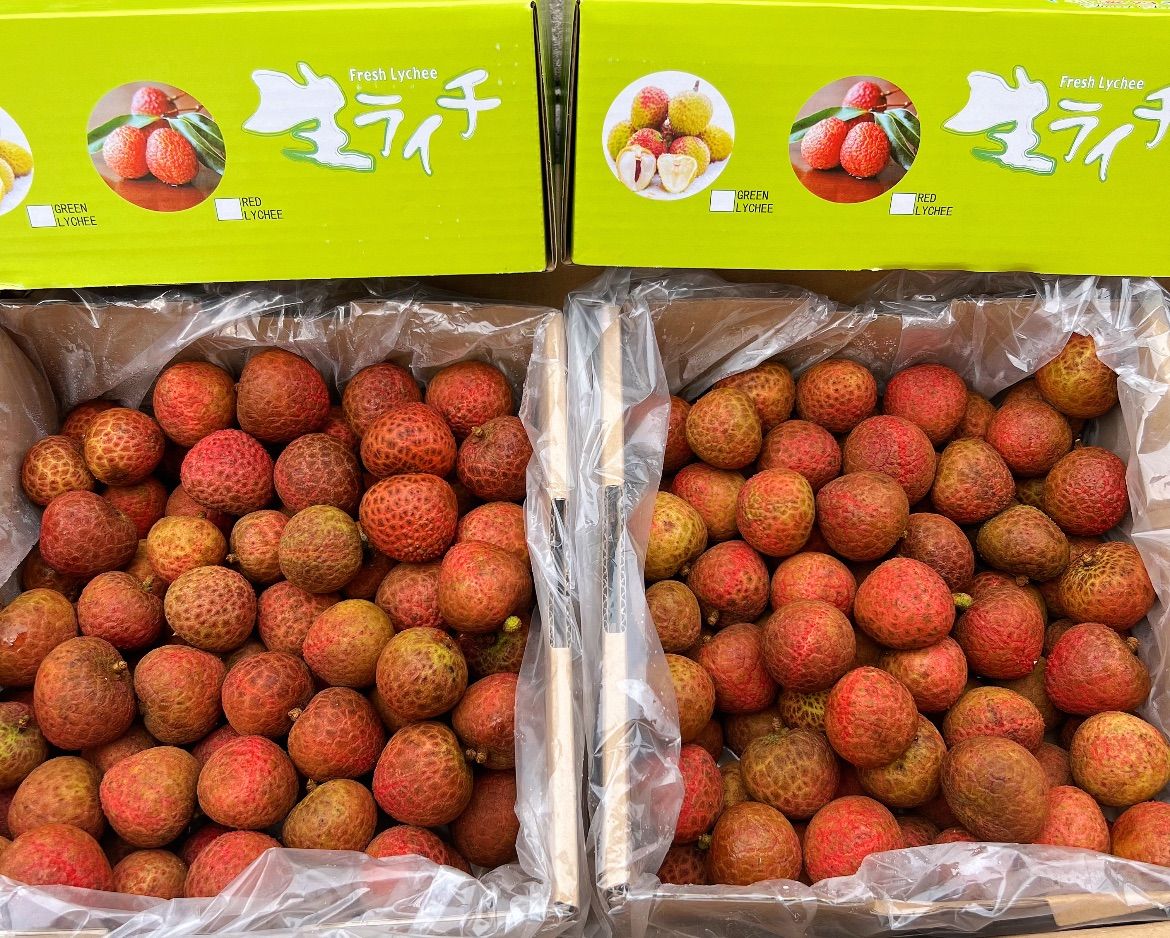 4kg‼️クール便‼️新鮮 生ライチ 香りが強いみずみずしい　茘枝 果物 4kg‼️クール便‼️新鮮 生ライチ 香りが強いみずみずしい 茘枝 果物