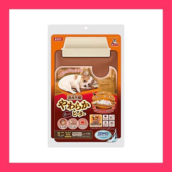 F6号】フロランタン 油絵 oil painting 原画 白鳥 ブルー 青