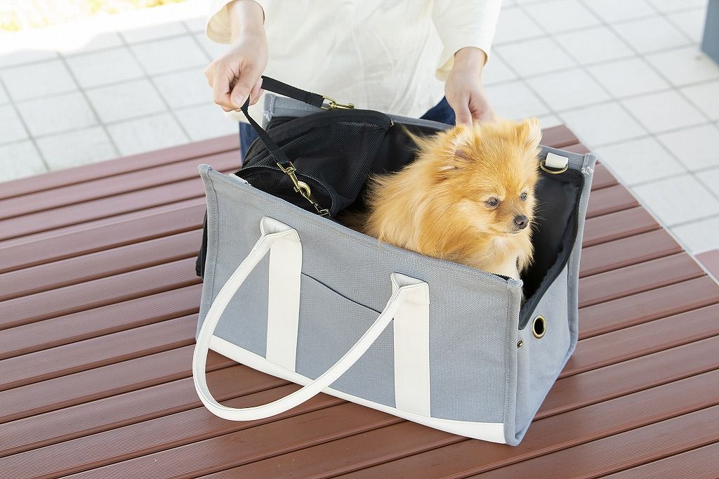 アイリスオーヤマ ペットキャリー キャンバストートキャリー 2 way Mサイズ グレー IRIS OHYAMA その他 犬用品