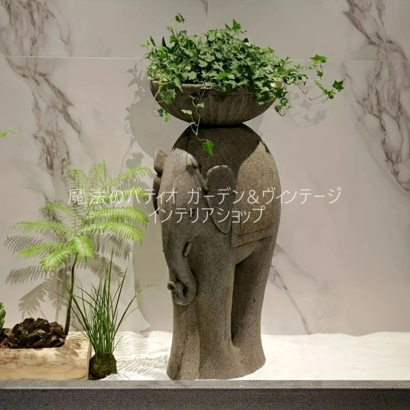 象