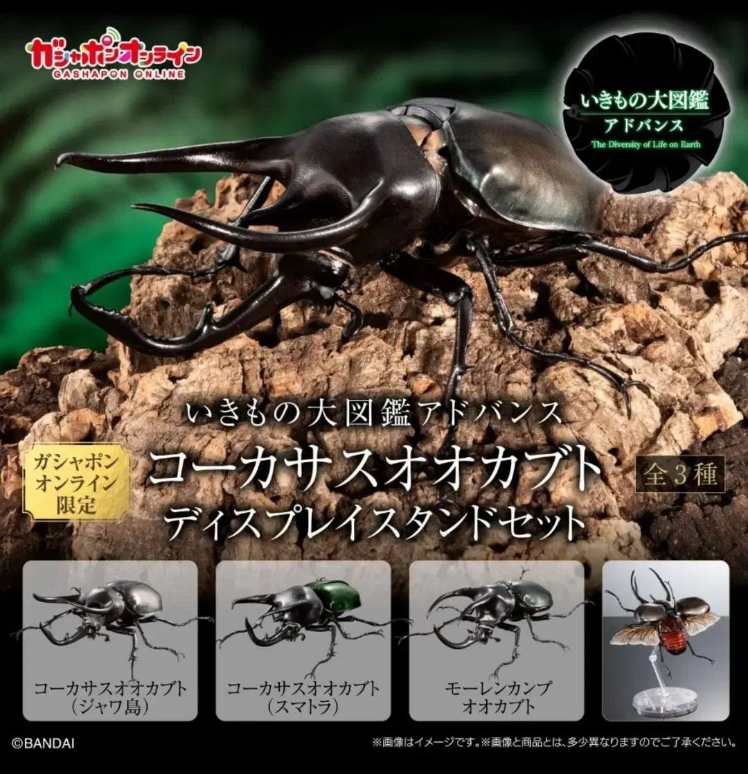 未使用】【中古】ブシロードスリーブコレクションHG (ハイ