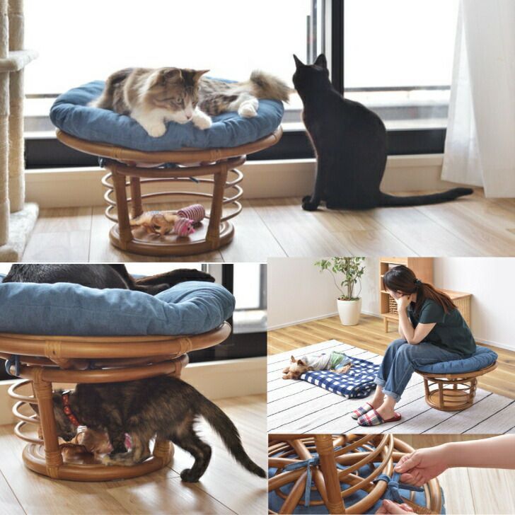 ペットスツール 椅子