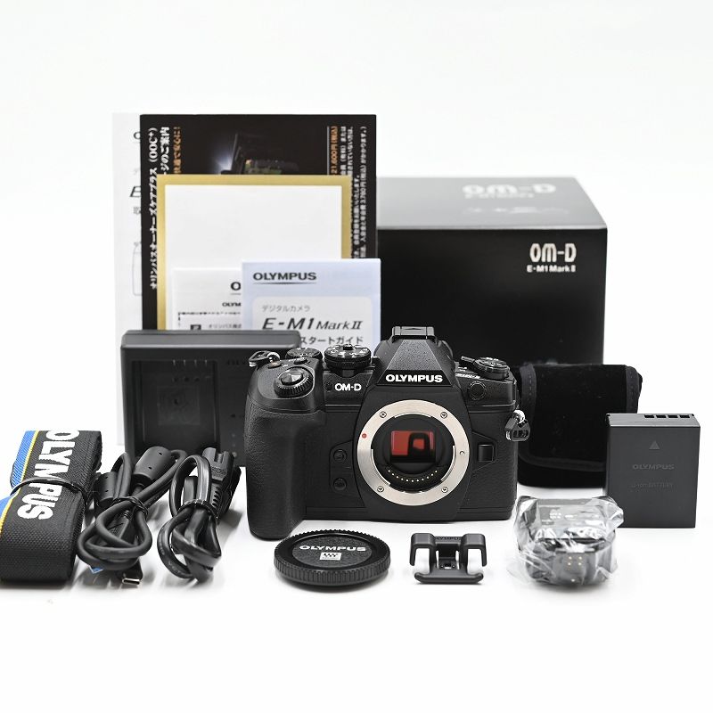 OLYMPUS オリンパス ミラーレス一眼 OM-D E-M1 MarkII ボディー FL-LM3 フラッシュ シャッター数2523枚 ミラーレス一眼レフカメラ