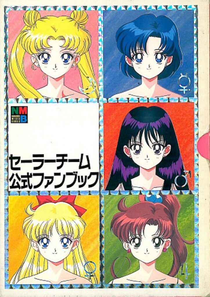 セーラーチーム公式ファンブック セーラーチーム公式ファンブック [マーケットプレイス コミック
