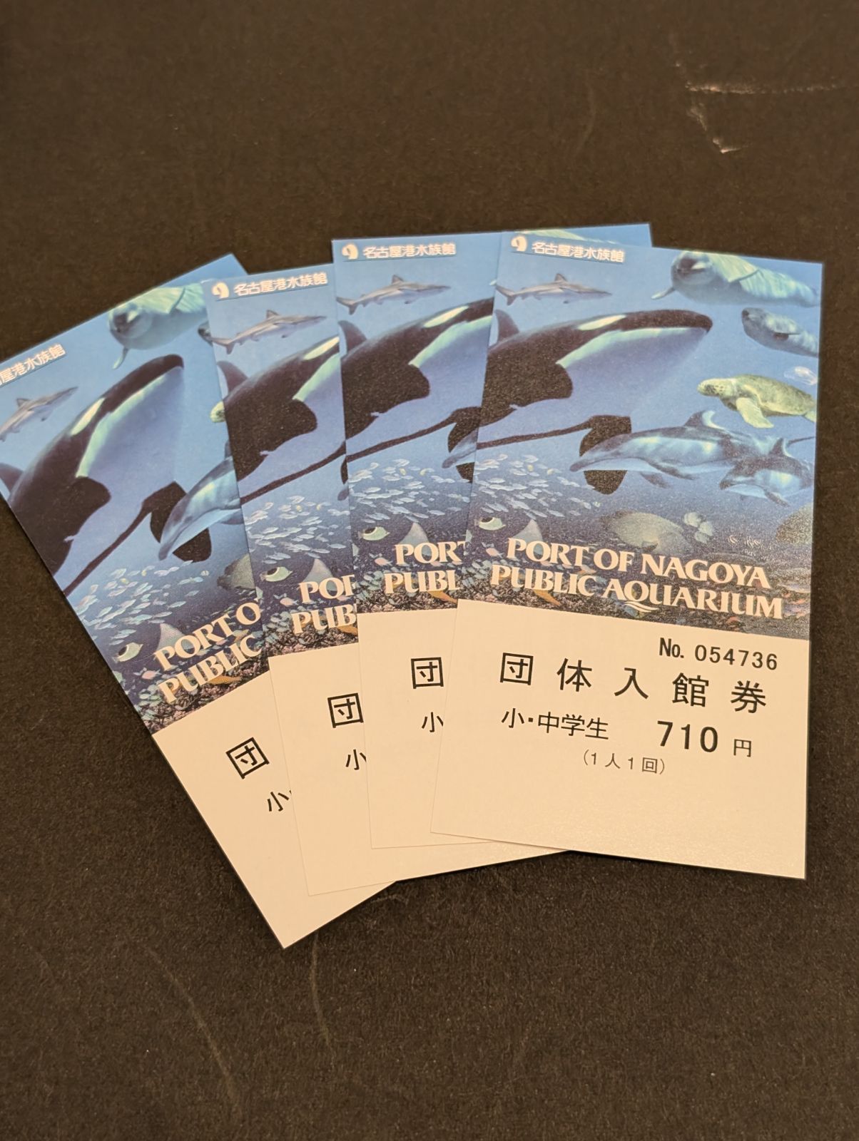 専用　名古屋港水族館 入館券　　大人4名　入場券 名古屋港 ４施設入場券(水族館使用済み) 大人・小中学生券｜Yahoo