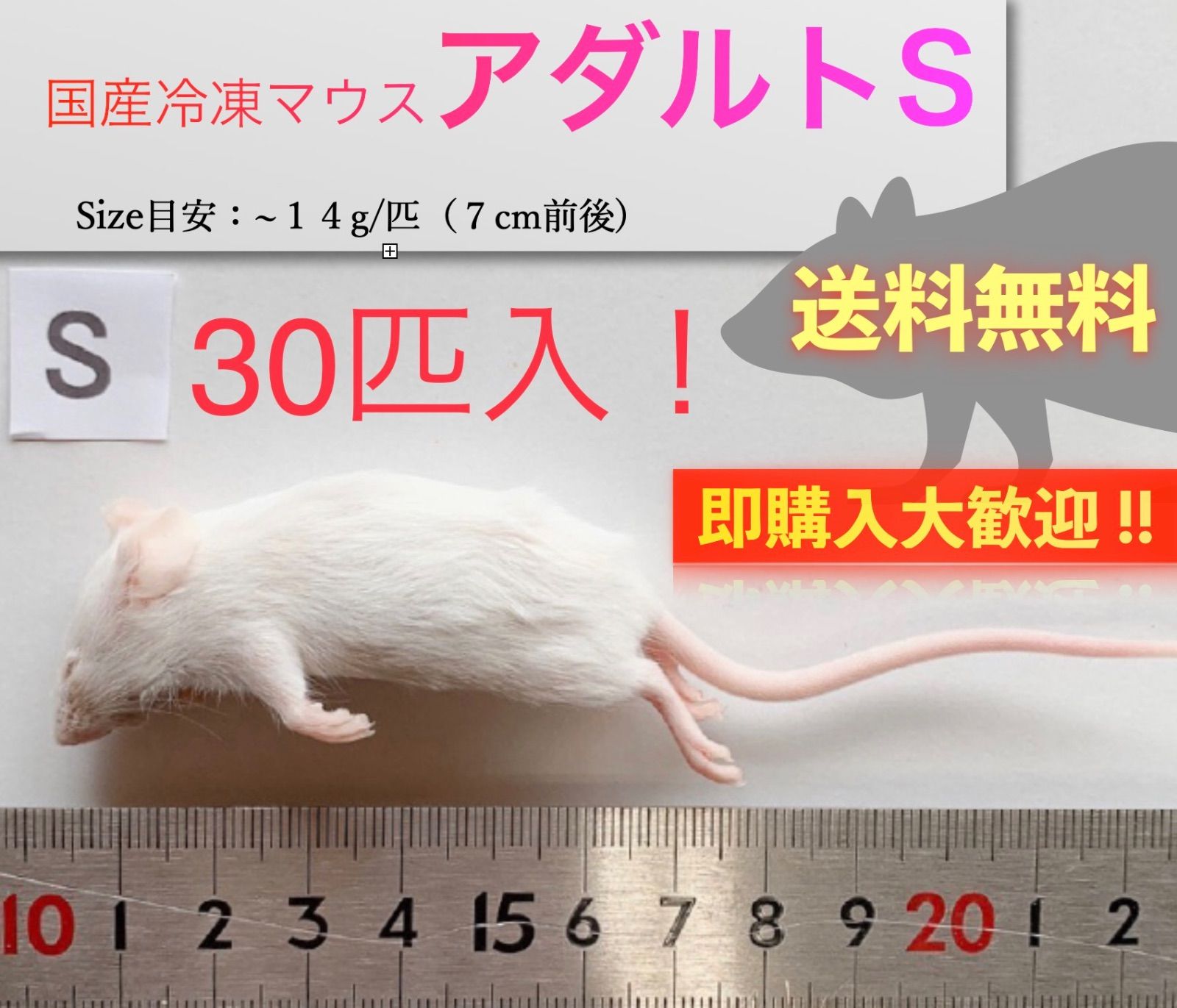 送料無料】国産冷凍マウスアダルトS 30匹入@即購入OK！北海道・沖縄の 