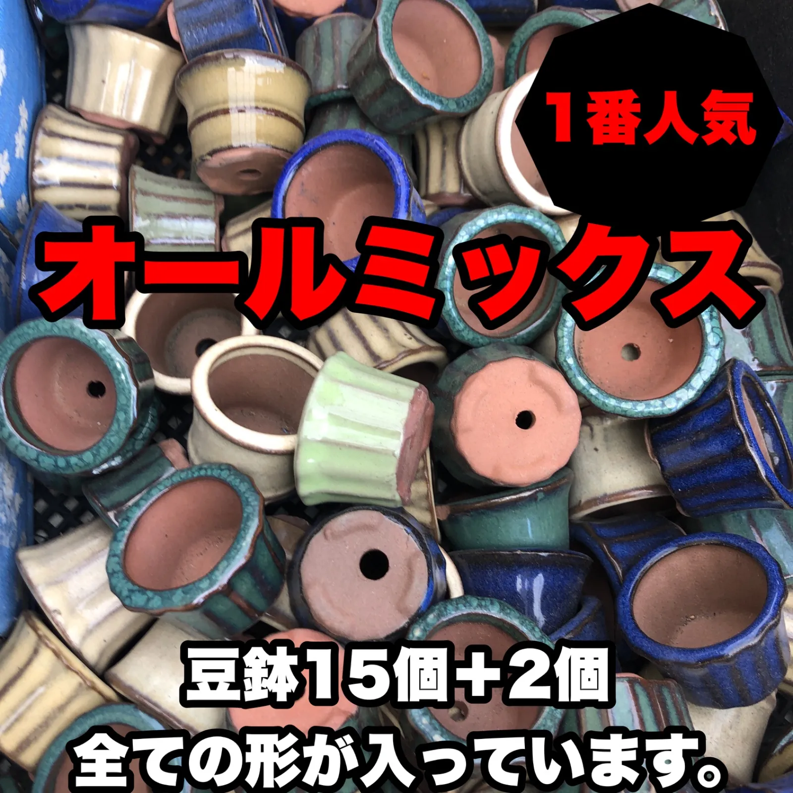 2025年最新】盆栽 ミニ盆栽 美芸の人気アイテム - メルカリ