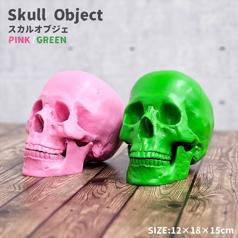 ガイコツ 置物 ドクロ 置物 スカル オブジェ スカルヘッド 骸骨 SKULL