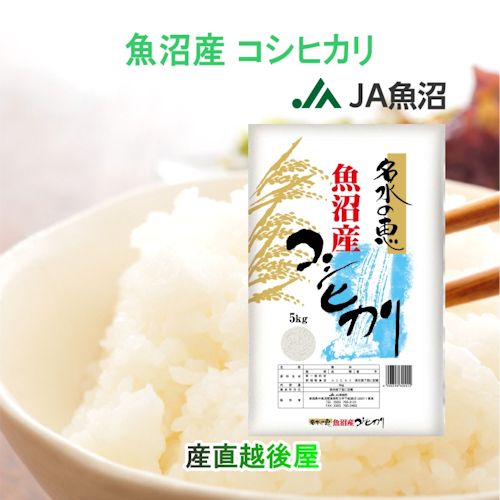 魚沼産コシヒカリ20kg 食品 限定！令和7年魚沼産コシヒカリ 20kg