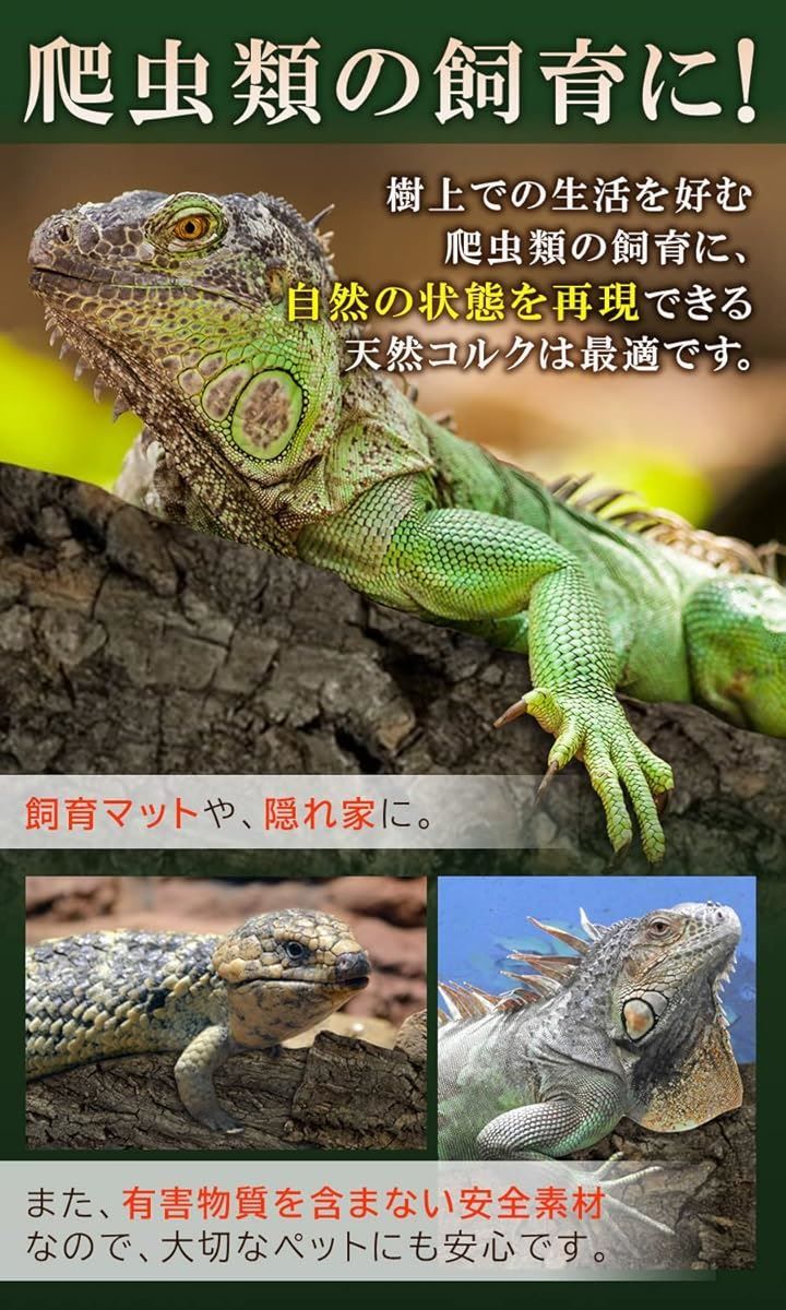 WinJapan コルク樹皮 大きい 着生 ビカクシダ 蘭 エアプランツ 爬虫類 
