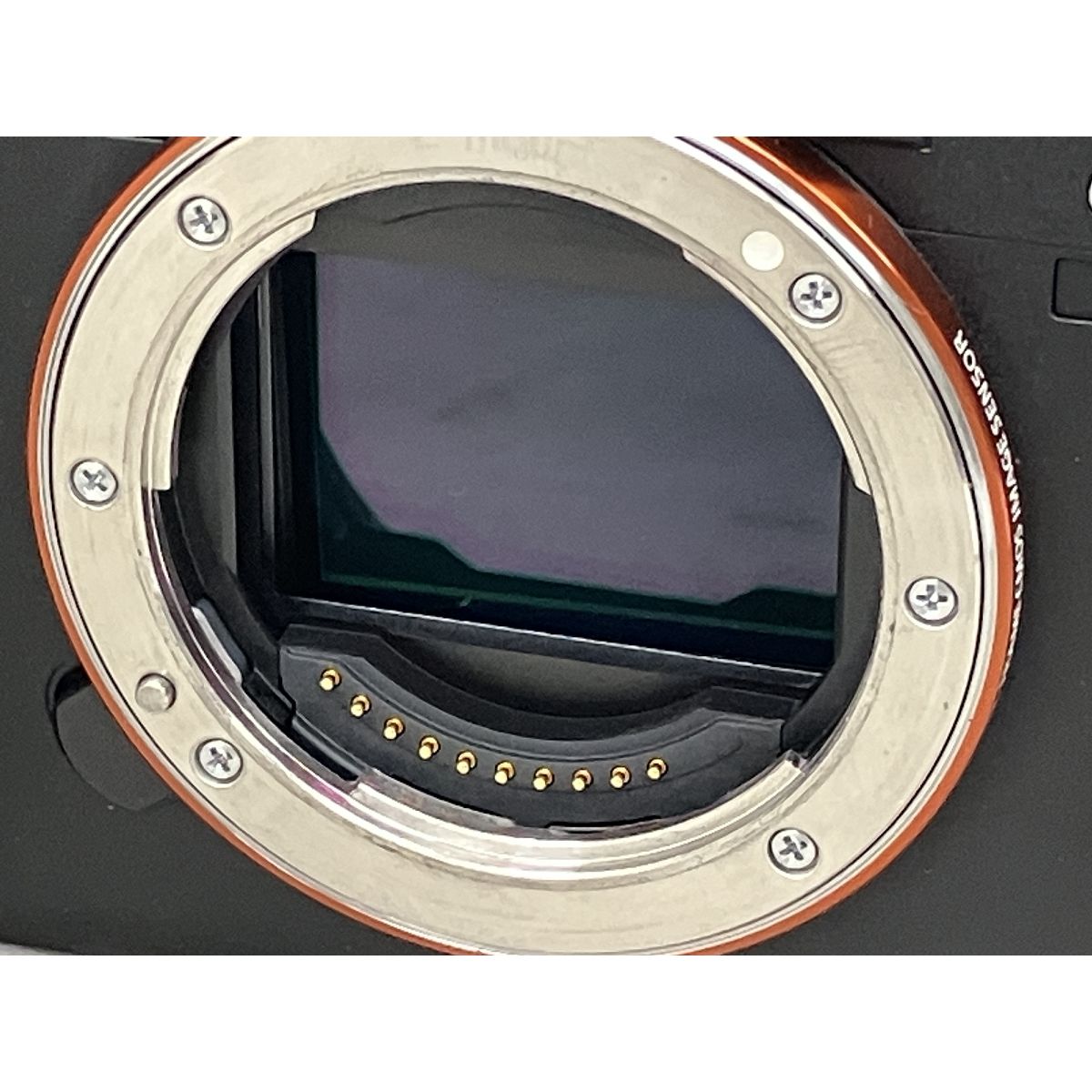 [完全未使用]Sony α7S III ミラーレス一眼カメラ ILCE-7SM3 α7S III ボディ ILCE-7SM3 フルサイズ ミラーレス一眼カメラ